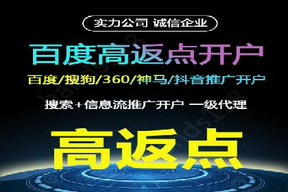 百度推广在电商行业的应用案例